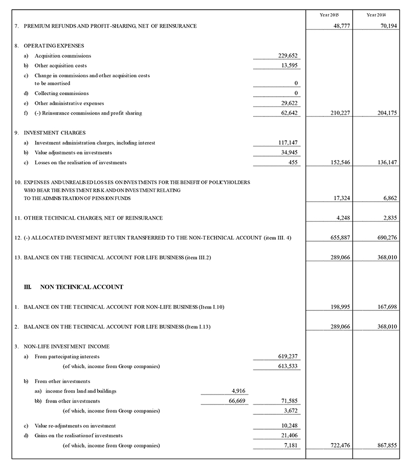 Balance Sheet and Income Statement of the Parent Company