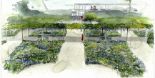 Il Gruppo Generali partner della Venice Gardens Foundation per i Giardini Reali