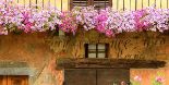 Soft Tourism: Innovative Models Between Economic Growth and Social Engagement
