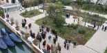 Images - The Royal Garden 