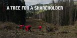 Video - A tree for a Shareholder - 2025