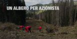 Video - Un albero per Azionista - 2025