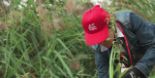Video - A tree for a Shareholder - 2026