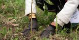 “Un albero per Azionista”: Generali rinnova per il quinto anno il proprio impegno a favore dell’ambiente