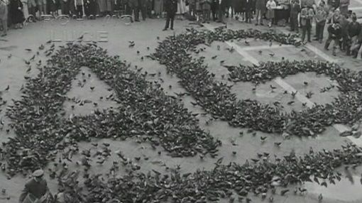 Video - Raduno dei dipendenti a Venezia