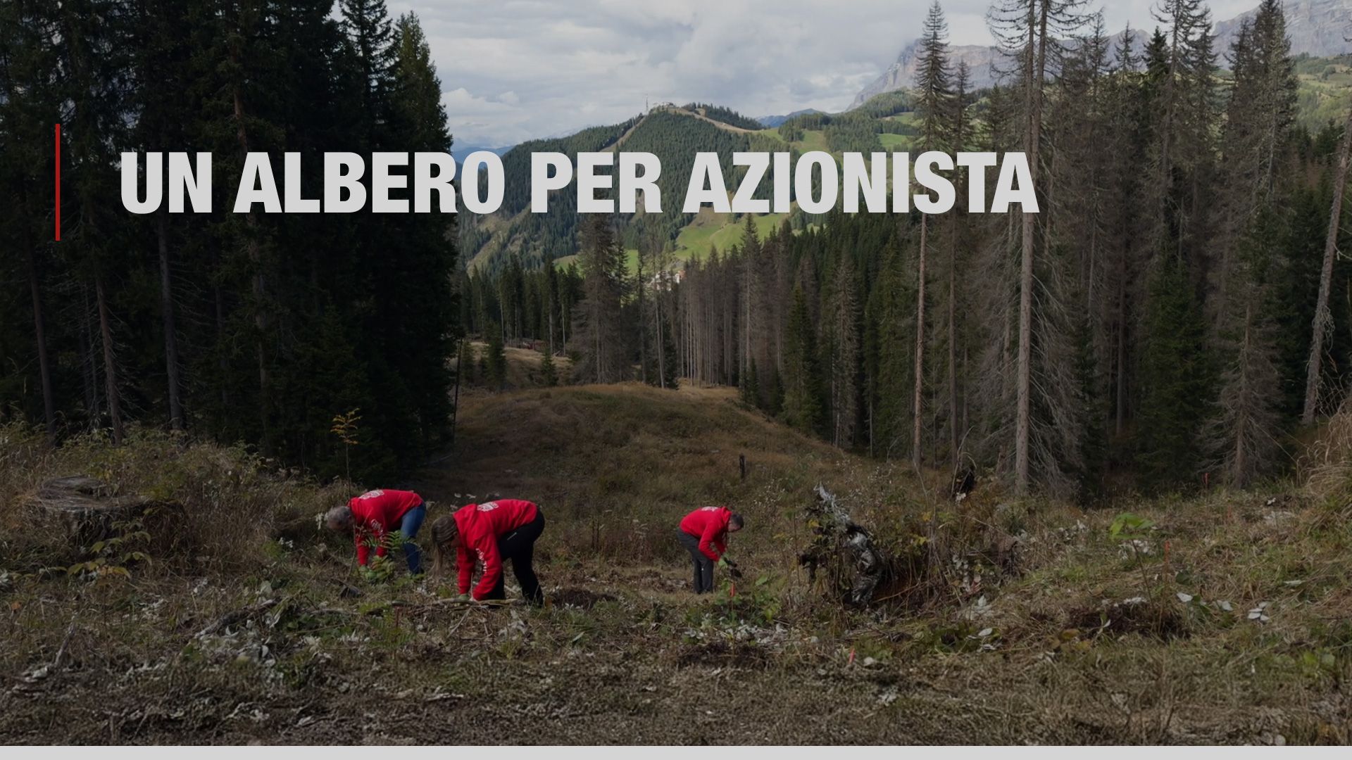 Video - Un albero per Azionista - 2025