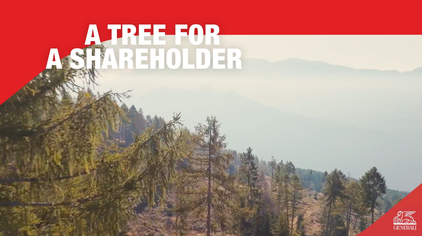 Video - A tree for a shareholder