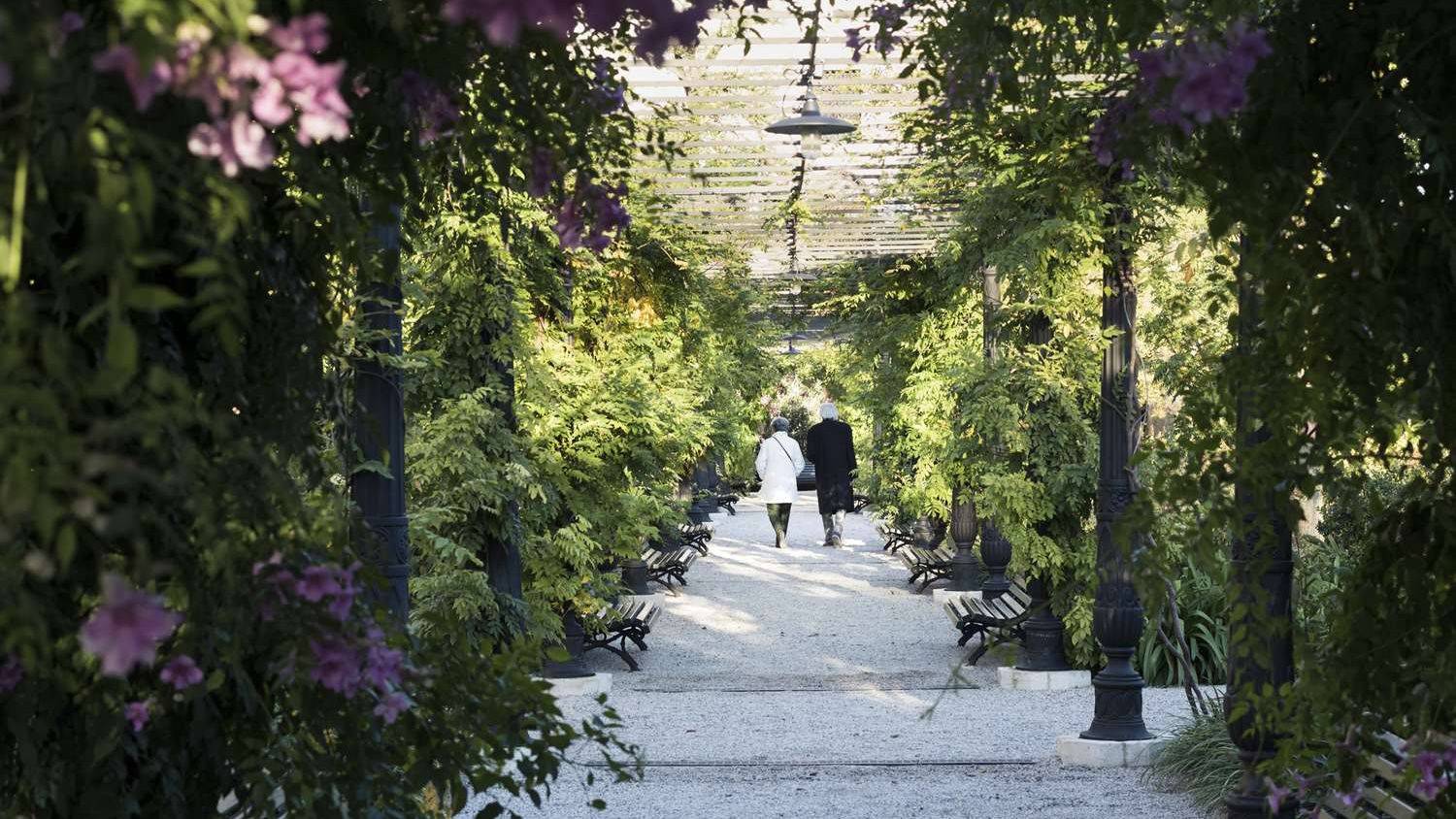Venice Royal Gardens receive the European Prize for Cultural Heritage / Europa Nostra Award 2023 - Ph Martino Lombezzi