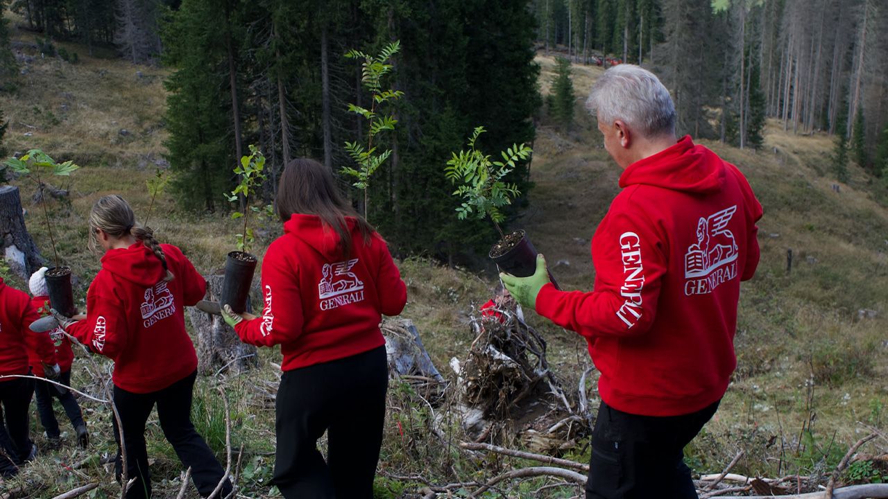 Il progetto “Un albero per Azionista” continua a favore della riforestazione - 1