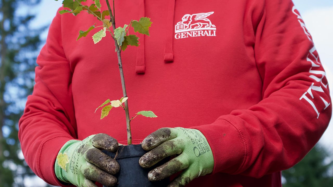 Il progetto “Un albero per Azionista” continua a favore della riforestazione - 2