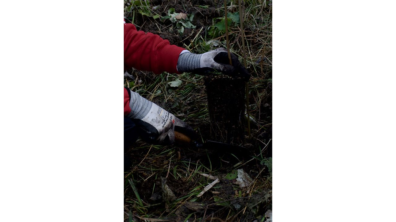 Il progetto “Un albero per Azionista” continua a favore della riforestazione - 5