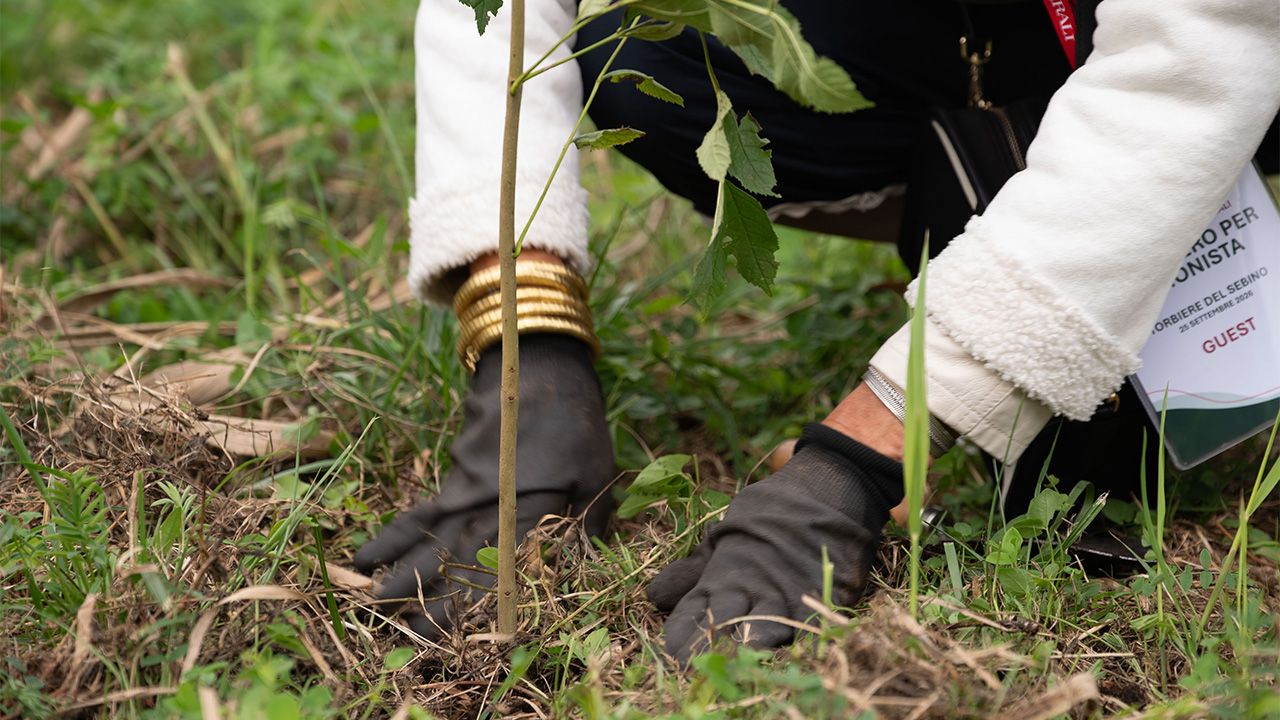“Un albero per Azionista”: Generali rinnova per il quinto anno il proprio impegno a favore dell’ambiente