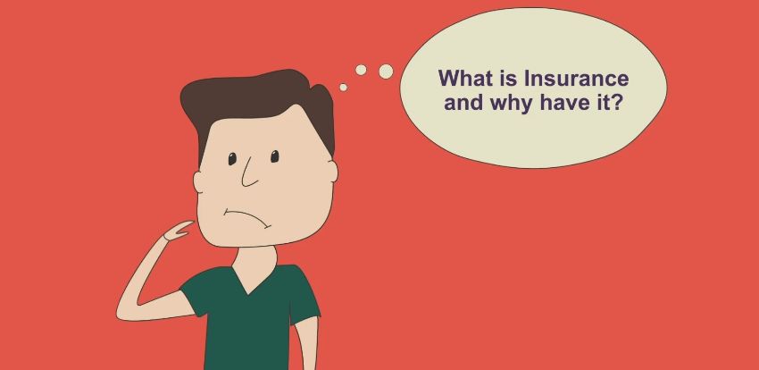 L’assicurazione di cartone - Cartoon insurance
