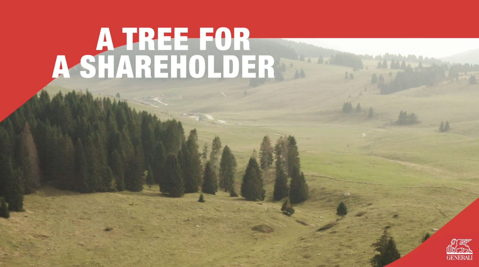 A tree for a shareholder - edition 2022