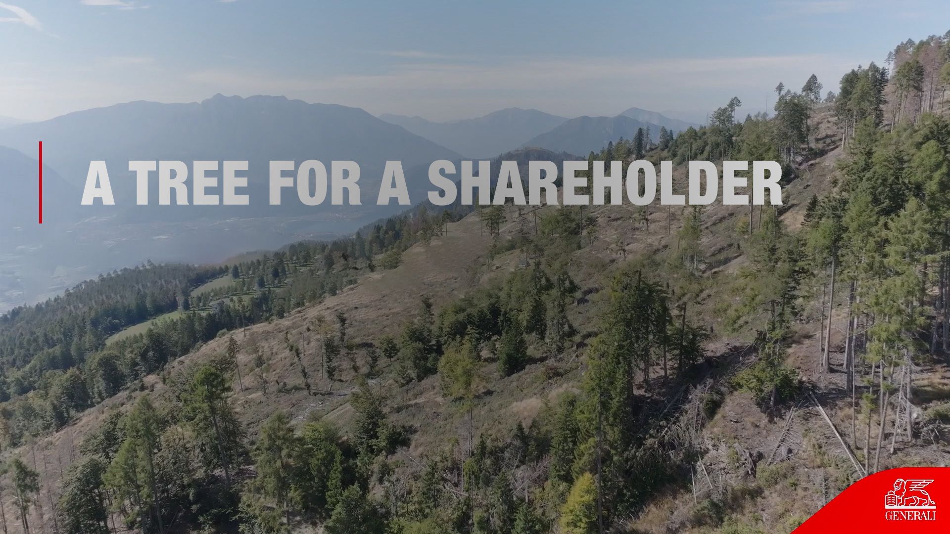 A tree for a Shareholder - edition 2024 - A tree for a shareholder