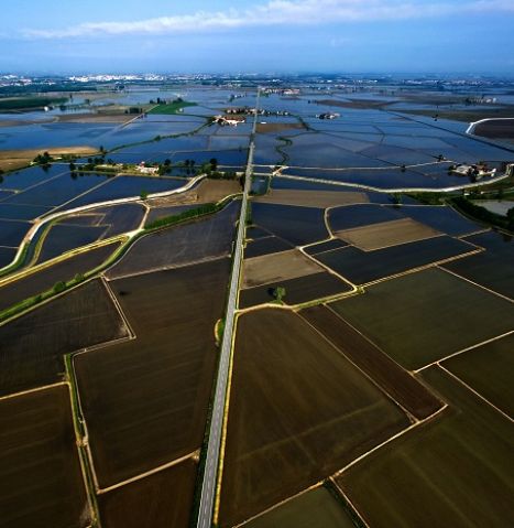 Towards a sustainable future