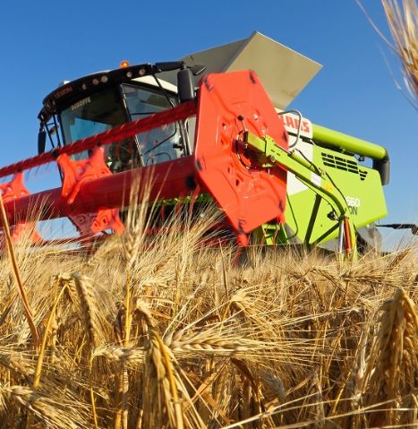 The agricultural revolution