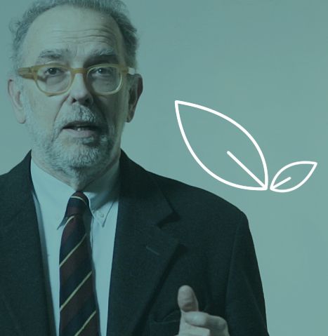 Il verde è di moda