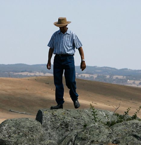 Between climate change and human intervention