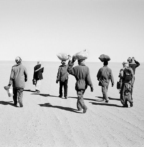 Migrare a causa del clima