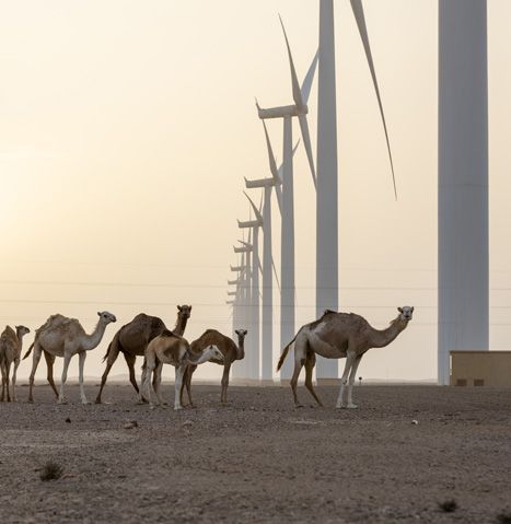 More and more people with electricity in Africa