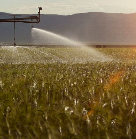 Generali’s response to climate change