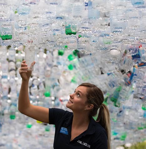 Recycling in Europe