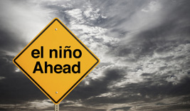 El Niño’s fault?