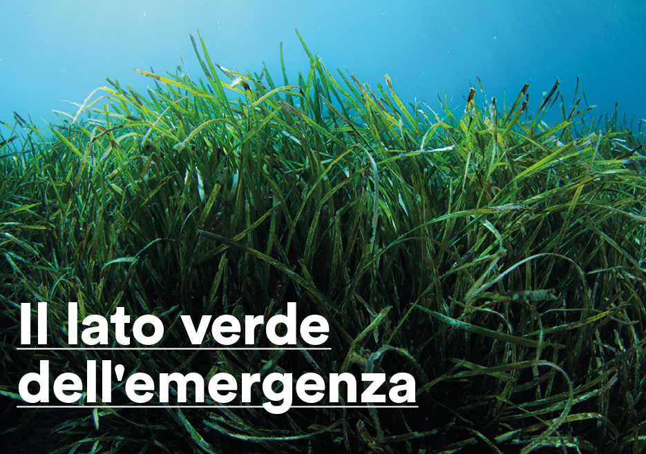 La pandemia ha mostrato la nostra fragilità. Forse però ci lascerà una maggiore cura per l'ambiente.