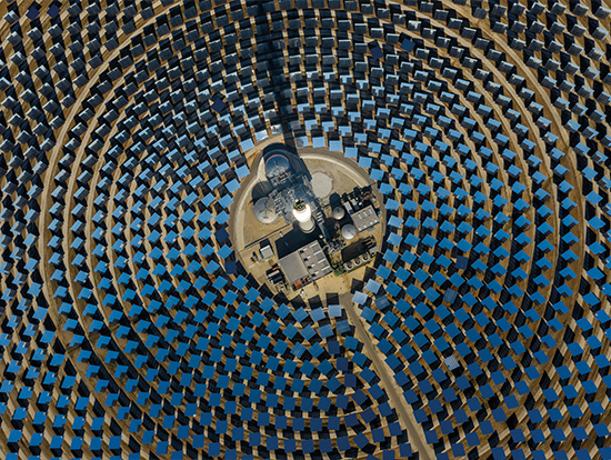 Le partnership come percorso verso la protezione - Credit: THOMAS RICHTER/UNSPLASH