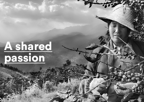 Andrea Illy on Sebastião Salgado’s “The Scent of a Dream” photography project.