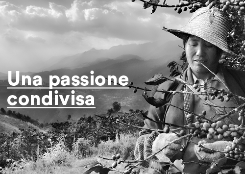 Andrea Illy racconta il progetto fotografico "Profumo di Sogno" di Sebastião Salgado.