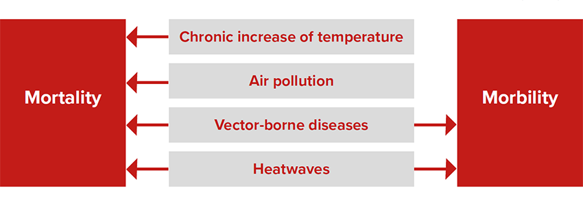 Il modello di rischio climatico di Generali: trasformare i dati in azioni - L’impatto del cambiamento climatico su vita e salute come descritto nel modello di rischio climatico del Gruppo Generali
