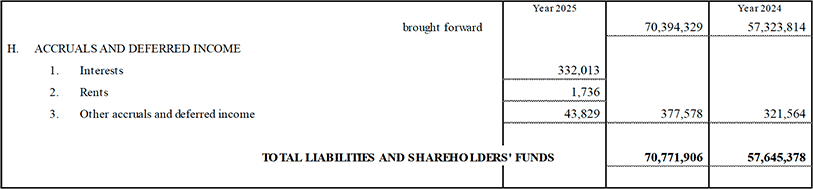 Parent Company’s Balance Sheet and Income Statement (13)