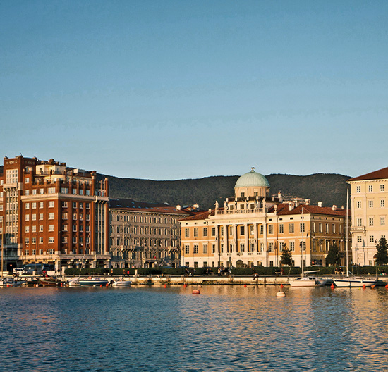 “HumanAIze the Future”: the mission of the Scientific Hub, between digital culture and a new humanism