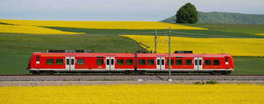 Viaggiare carbon neutral