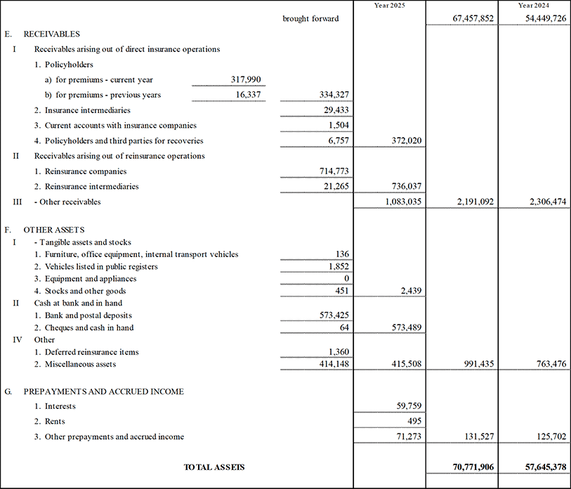 Parent Company’s Balance Sheet and Income Statement (13)