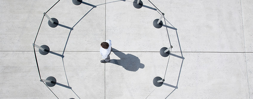 Organizational and Management Model