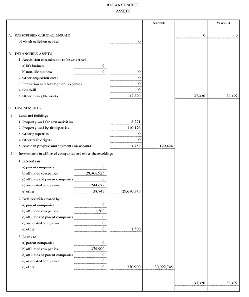 Balance Sheet and Income Statement of the Parent Company