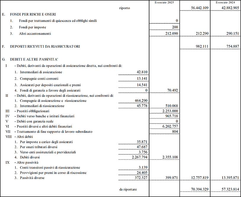 Stato patrimoniale e conto economico di Capogruppo (13)