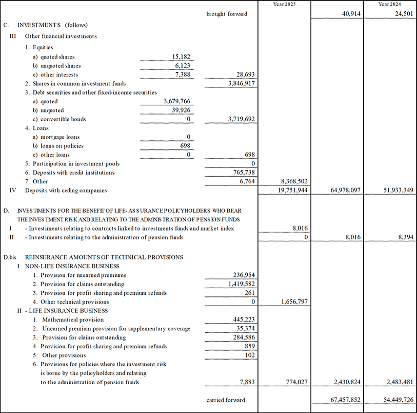 Parent Company’s Balance Sheet and Income Statement (13)