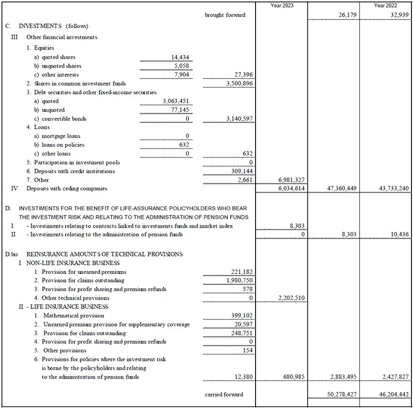 Parent company’s balance sheet and income statement (12)