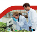 Group Annual Integrated Report 2022