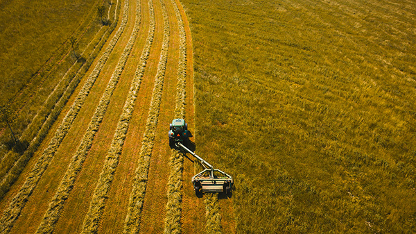 Property value assessment and policies in agriculture