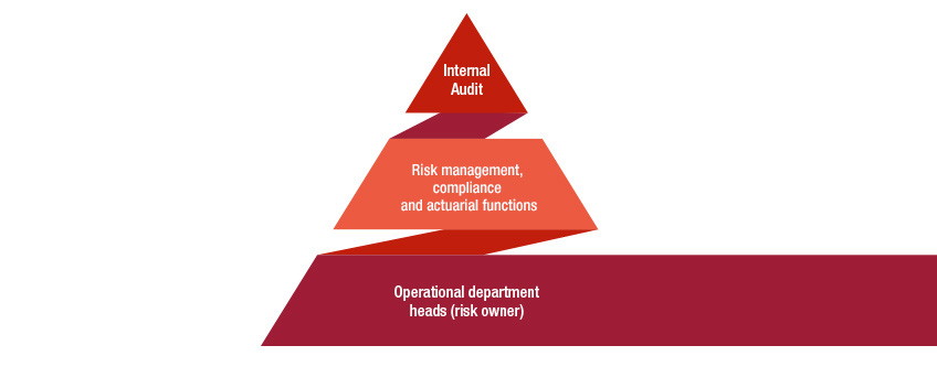 Internal control &amp; risk management