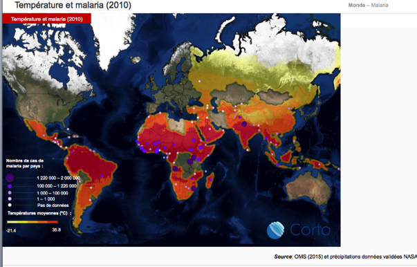 CLIMATE IMPACT - HEALTH N°1 BY GENERALI Climate warming and infectious diseases 