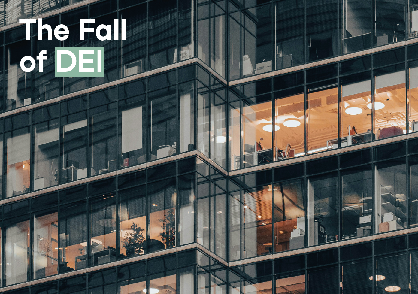 Despite the slowdown on Diversity, Equity, and Inclusion initiatives in the United States, attention to diversity continues to exist within companies. In Europe it has now become a legal requirement. And in part, it is already working.