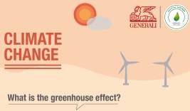 What is the greenhouse effect? 