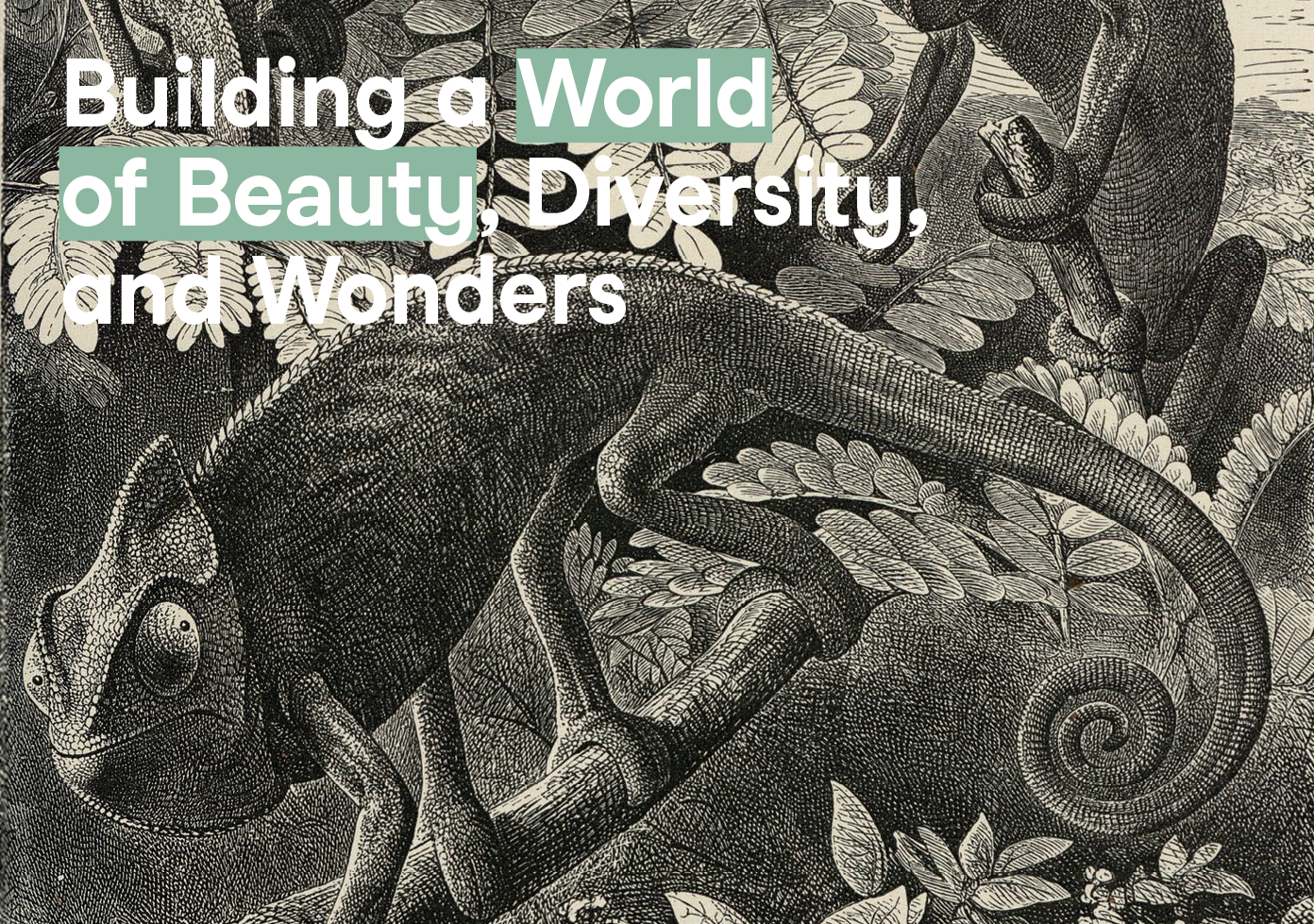 Writer David Quammen highlights the similarities between COVID denial and climate denial, warning of a future that could be “duller” and poorer in biodiversity. Embracing a multidisciplinary approach will be essential to safeguarding both the environment and public health.