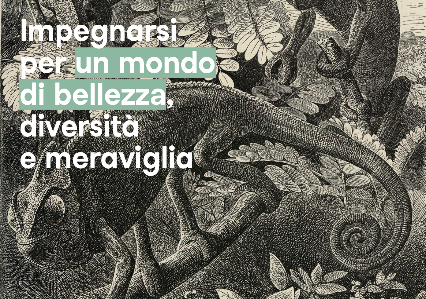 Lo scrittore David Quammen racconta le similitudini tra il negazionismo del Covid e il negazionismo climatico. Il rischio è quello di avere un futuro più «noioso», a biodiversità ridotta. Un approccio multidisciplinare sarà il segreto per proteggere l’ambiente e la salute pubblica.